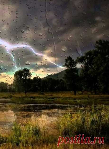 Утешает только самое простое. Вода, дыхание, вечерний дождь...
© Эрих Мария Ремарк, "Триумфальная арка"