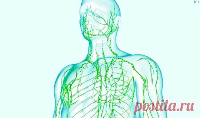 Убираем отеки простыми упражнениями, запускаем лимфодренаж - Здоровье - Курс Украины 
Порой человек чувствует слабость, сталкивается с отёками, постоянно подхватывает инфекции, но даже врачи не всегда догадываются, что проблема заключается в застое лимфы.
Л...