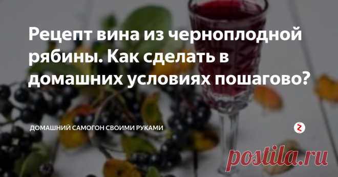 Рецепт вина из черноплодной рябины. Как сделать в домашних условиях пошагово? Многие сторонники самостоятельного приготовления алкогольных напитков обходят черноплодную рябину стороной, совершенно необоснованно считая ее сорной ягодой.
Те же, кто попробовал вино из черноплодки хоть раз, с нетерпением ожидают конца сентября – времени, когда ягоды выспевают и лучшим образом подходят для виноделия.
