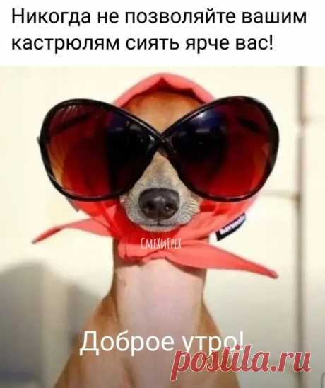 м