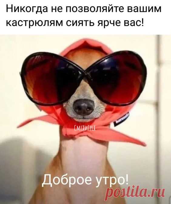 м