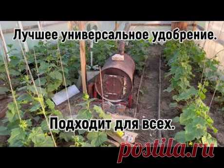 Чем подкормить томаты ,огурцы ,перцы?УНИВЕРСАЛЬНОЕ  УДОБРЕНИЕ В КОТОРОМ ЕСТЬ ВСЁ.