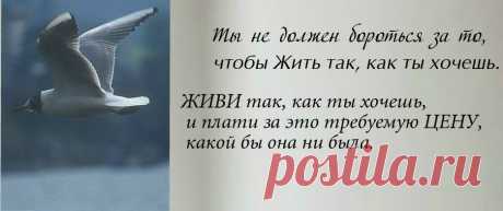 Ричард Бах  *** Чайка по имени Джонатан Ливингстон
