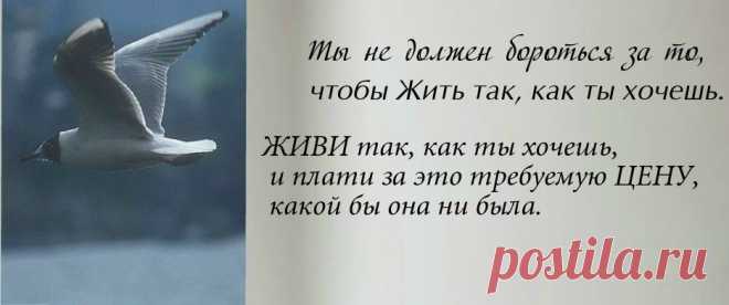 Ричард Бах  *** Чайка по имени Джонатан Ливингстон