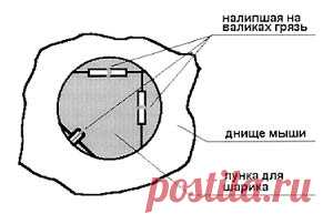 Если мышка не слушается...