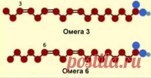 Омега3 | vita-jizn.net