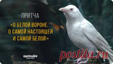Притча «О белой вороне. О самой настоящей и самой белой»
Белая ворона почти ничем не отличалась от своих товарок ворон чёрных. Она...
Читай дальше на сайте. Жми подробнее ➡