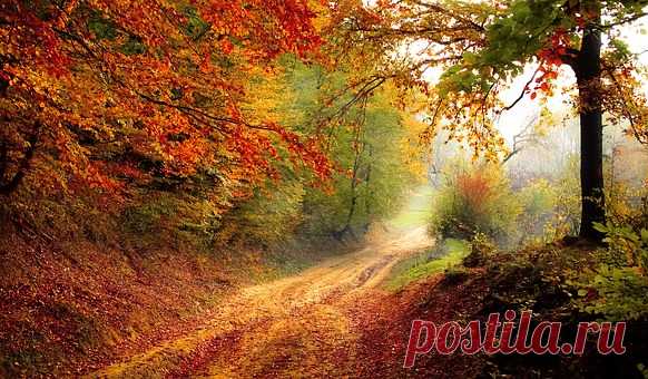 Осень Изображения · Pixabay · Скачать бесплатные картинки