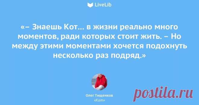 вдвоем лучше нежели одному: 8 тыс изображений найдено в Яндекс.Картинках