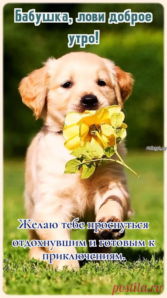 «Доброе утро бабушке!»