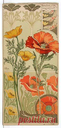 (723) Riom. Californian Poppy and Field Poppy from Etudes de Fleurs. 1890s. Lithograph. | graphics and art ideas