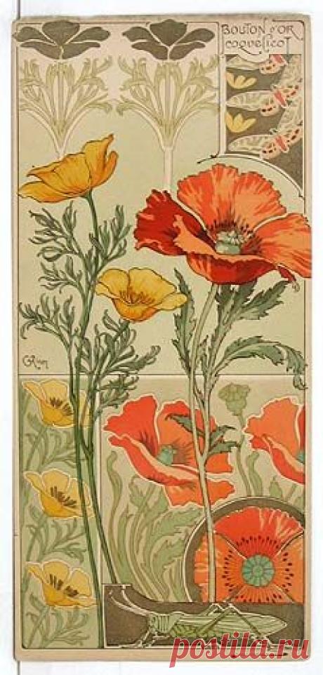 (723) I really love some of the insects and the stars on one of the posters. Extremely rare and beautiful French Art Nouveau set of 8 floral color lithog…