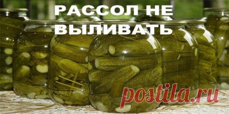 РАССОЛ НЕ ВЫЛИВАТЬ | Полезные советы!