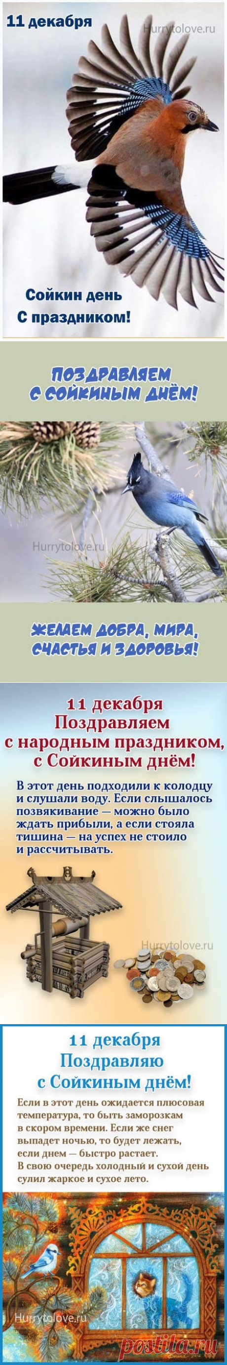 Картинки на Сойкин день: поздравления в открытках с надписями на 11 декабря 2023