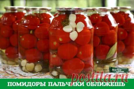 Помидоры ПАЛЬЧИКИ ОБЛИЖЕШЬ