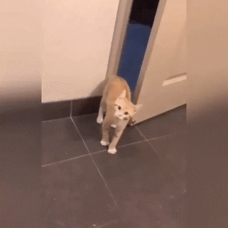 Прикольные гифки - 8 картинок - Нет скуки.ру - Источник позитивного настроения.