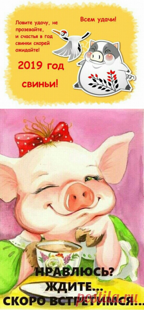 Красивые открытки с Новым годом 2019 год Свиньи красивые с надписями скачать - Прикольные новые картинки с Новым годом 2019 год Свиньи красивые