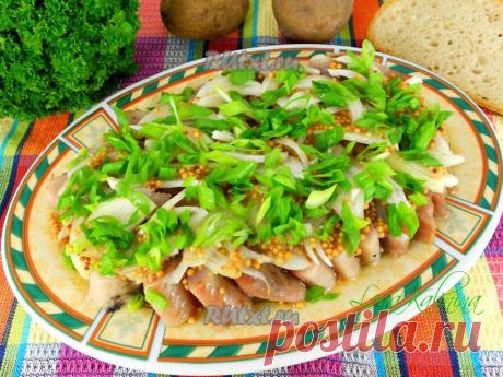 Селёдка в горчичной заливке | RUtxt.ru