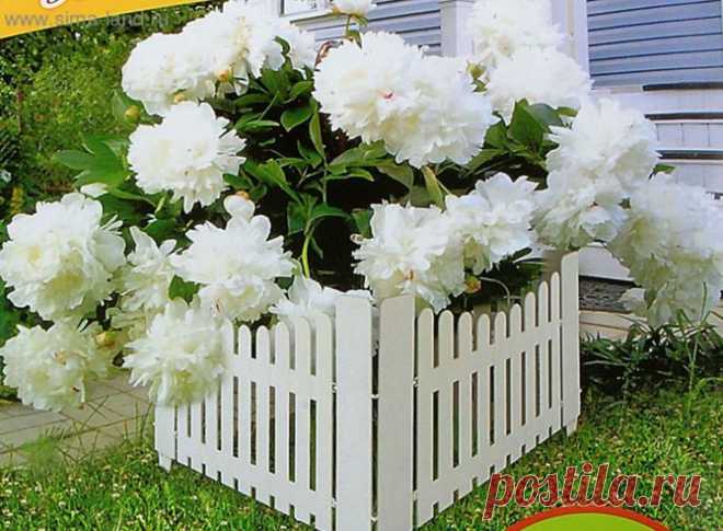Школа цветоводства 🌸 Наш дом всегда в цветах 🌸