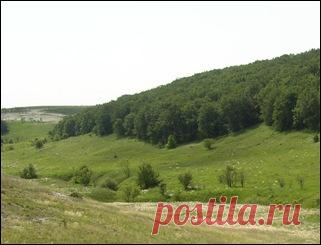 Применение трав | Лекарственные травы – Справочник – Для вас и ваших детей