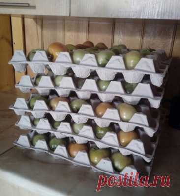 Красивое и удобное хранение урожая. 