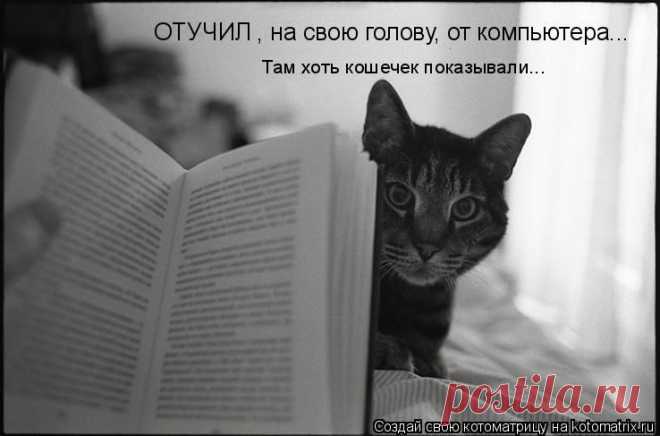 Котоматрица: Круть