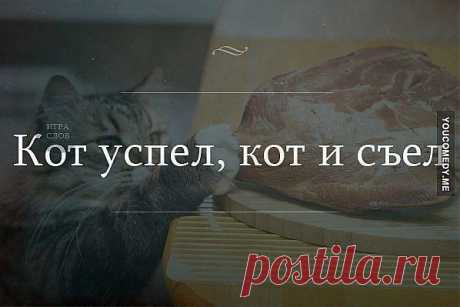По моему опыту, искренность ценится незаслуженно высоко и с правдой она связана лишь очень косвенным образом.
