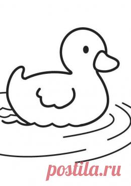 Картинка раскраска утенок