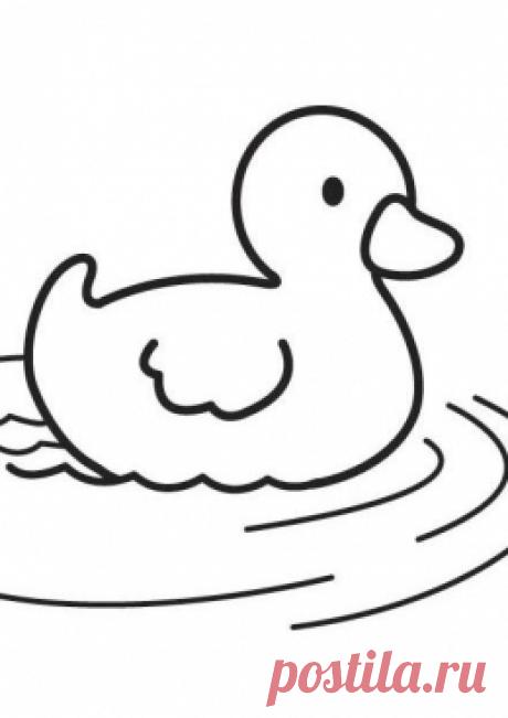 Картинка раскраска утенок