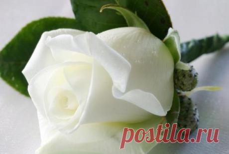 (4) В этот день