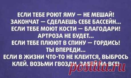 Если тебе роют яму... | thePO.ST