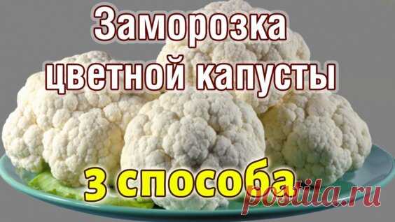 Заморозка Тыквы как заморозить тыкву на зиму 3 Способа пюре, кубиками, натертой... - Яндекс.Видео