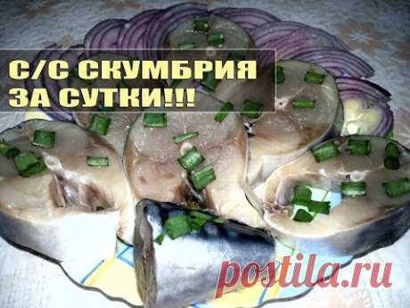 Скумбрия слабосолёная за сутки!