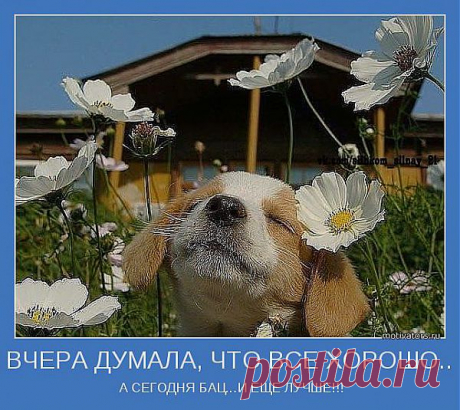 ВЧЕРА ДУМАЛА, ЧТО ВСЕ ХОРОШО.. | Позитивные мотиваторы