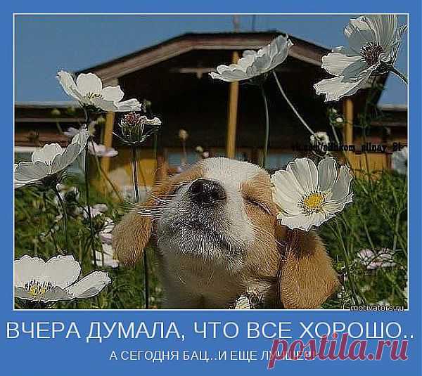 ВЧЕРА ДУМАЛА, ЧТО ВСЕ ХОРОШО..