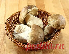 Итальянская кухня по-русски с фотографиями блюд