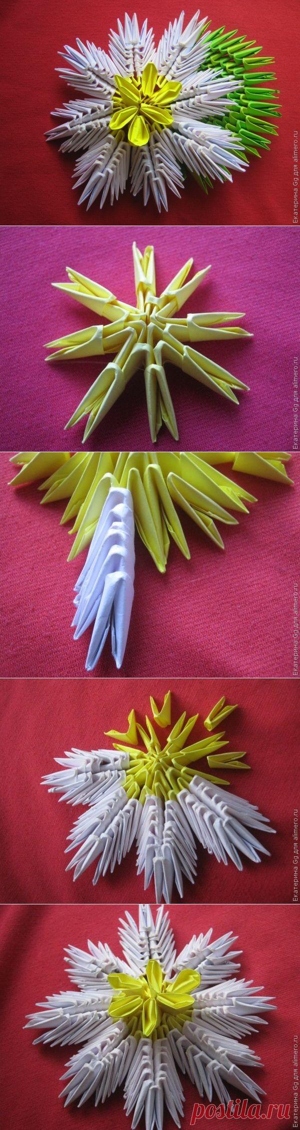 Модульное оригами «Кувшинка»