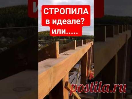Подгонка стропил, шабашников. 🤣 #своимируками #zахарята