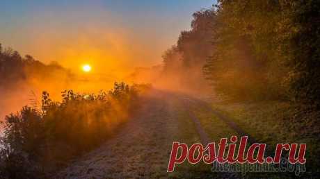 Промелькнули города и годы (Стих) Промелькнули города и годы:Пыль дорог, гостиницы и воды.Лиц чужих сумятица, невзгоды,Сумерек, таинственные своды.Вот стою я на закате жизни.Впереди - до горизонта мгла.Что мне делать? Ведь до тризны,Л...