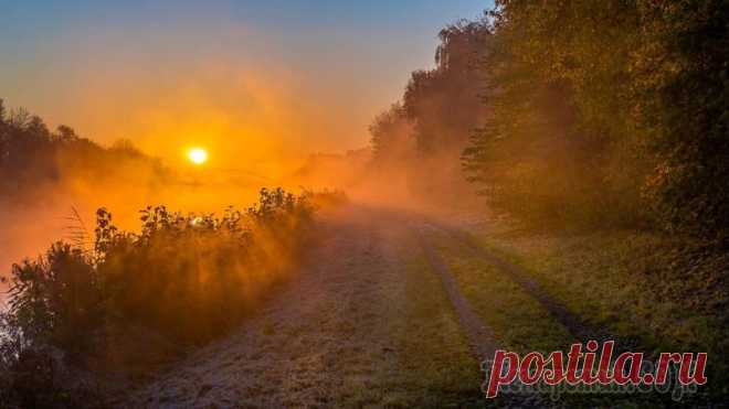 Промелькнули города и годы (Стих) Промелькнули города и годы:Пыль дорог, гостиницы и воды.Лиц чужих сумятица, невзгоды,Сумерек, таинственные своды.Вот стою я на закате жизни.Впереди - до горизонта мгла.Что мне делать? Ведь до тризны,Л...
