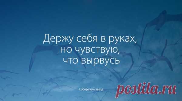 Держу себя в руках