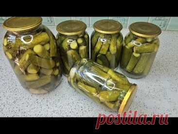 Только так, другие способы не признаю. Хрустят! Самые настоящие и вкусные огурцы просто.