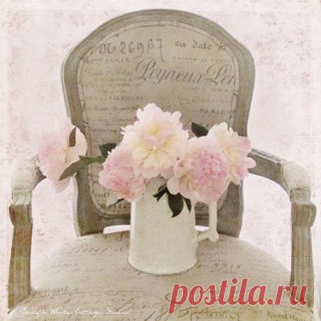...pink peony portrait... | ...more peony love...textures by… | Flickr