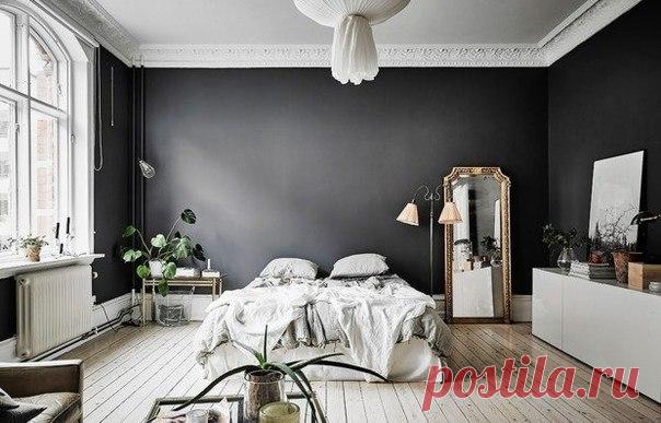 Подбираем декор для темного интерьера: шопинг с дизайнером