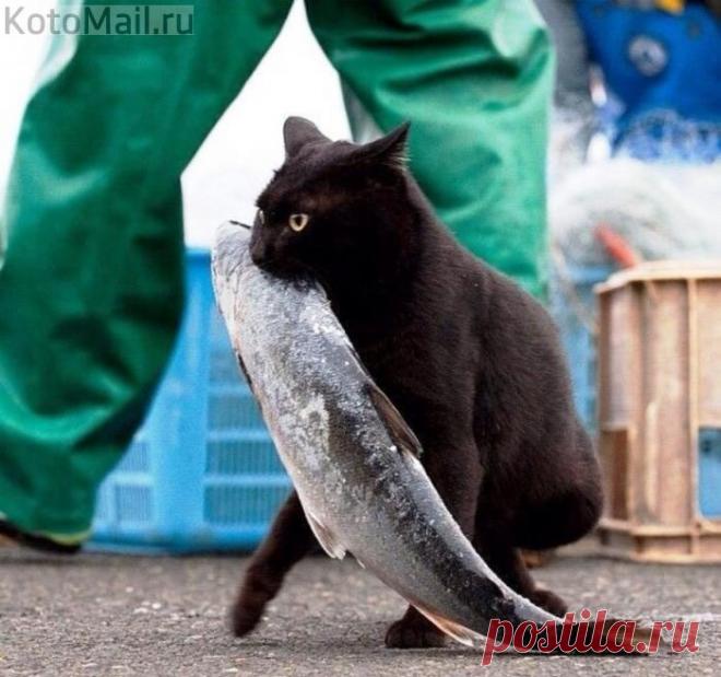 Любимая, я это сделал ради тебя!