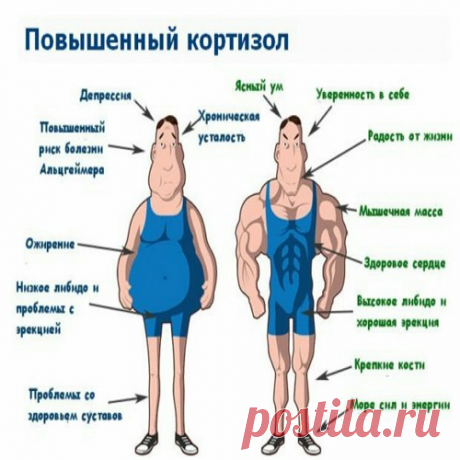 Крутая дыхательная техника для быстрого расслабления. | Здоровы и Счастливы | Дзен