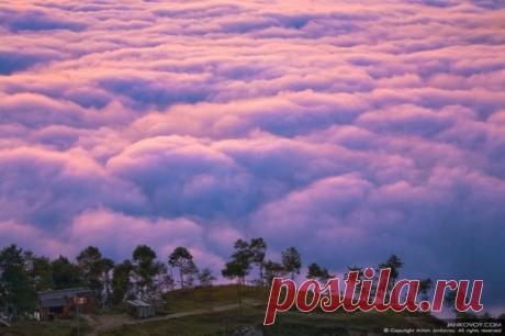 Когда мысли в смятении, человек начинает жить в нереальном мире и не может отыскать выход из него.