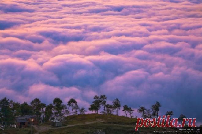 Когда мысли в смятении, человек начинает жить в нереальном мире и не может отыскать выход из него.