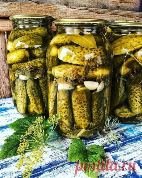 Обещала рецепт прекрасных хрустящих огурцов на зиму, обещание выполняю. Хотела снять видео, но времени совсем нет, а у многих из вас огурцы пошли вагонами и нет времени ждать, пока я смонтирую видео. Время такое, скачет галопом, поэтому принесла вам подробный рецепт с фото, а то пока от меня видео дождётесь, все огурцы перерастут!