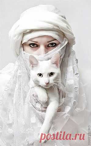 Одноклассники